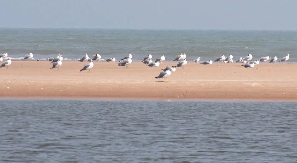 Kanapurthi Beach